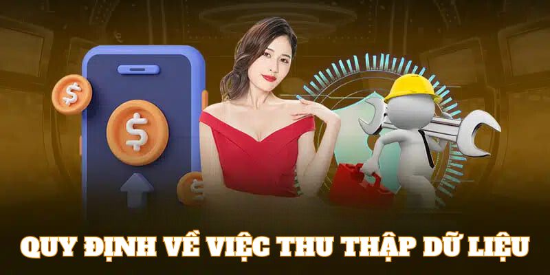 Quyền riêng tư 77BET về việc thu thập dữ liệu