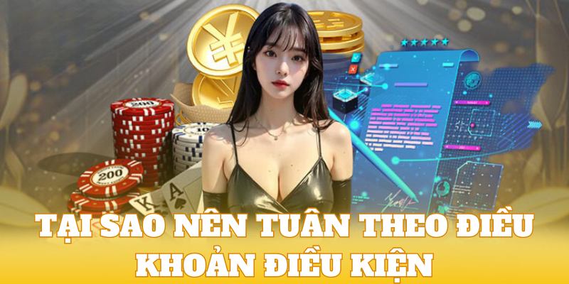 Hội viên sẽ nhận được rất nhiều lợi ích nếu tuân thủ điều khoản nhà cái